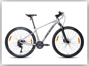 Xe đạp thể thao Giant ROAM 3