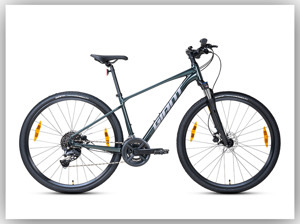 Xe đạp thể thao Giant ROAM 2