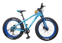 Xe đạp thể thao Giant 2016 IRIDE ROCKER 24 JR