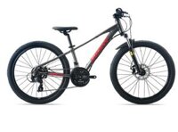 Xe đạp thể thao GIANT 2024 XTC 24 D 2 - Màu đen