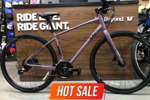 Xe đạp thể thao Giant Alight 2 DD 2017