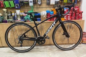 Xe đạp thể thao Giant ANYROAD 1