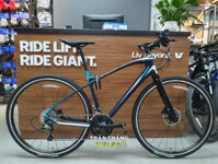 Xe đạp thể thao GIANT ANYROAD ADV 1.5 2023