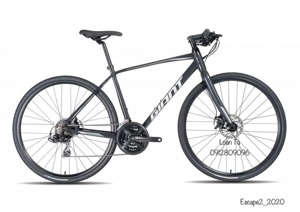 Xe đạp thể thao Giant Escape 2 2020