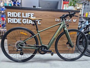 Xe đạp thể thao Giant Faster E+