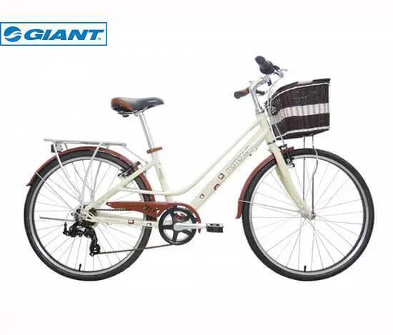 Xe đạp thể thao Giant Ineed 1500 2021