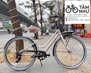 Xe đạp thể thao Giant Ineed Dandy RD 2021