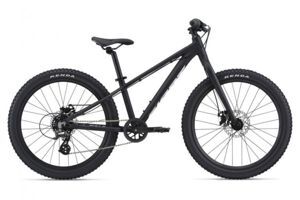 Xe đạp thể thao Giant STP 24 2022