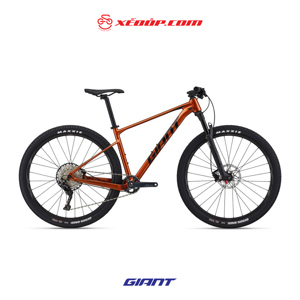 Xe đạp thể thao Giant XTC SLR 29 1 2022