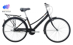 Xe đạp thể thao Ineed Colorful 26 2021