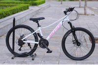 Xe Đạp Thể Thao Khung Nhôm Milesco M6000 ( Tặng Kèm Bộ Phụ Kiện)