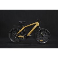 Xe đạp thể thao khung tre Haybike Bamboo