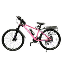 XE ĐẠP THỂ THAO MSPORT M210-1 KÈM BAGA SIZE 24INCH 2 THẮNG ĐĨA PHUỘC DẦU LÒ XO 24 TỐC ĐỘ