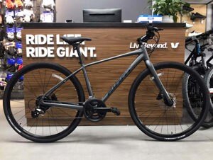 Xe đạp thể thao Touring Giant Escape 1D 2020