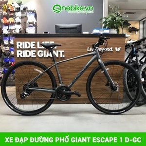 Xe đạp thể thao Touring Giant Escape 1D 2020