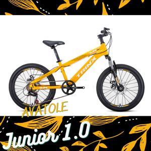 Xe đạp thể thao Trinx Junior 1.0 2017