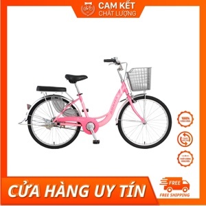 Xe đạp thời trang Asama CLD  BR 2402