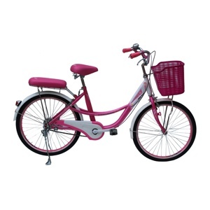 Xe đạp thời trang SMNBike CL 24-02