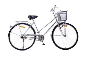 Xe đạp thông dụng Martin MT 6602