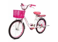 Xe đạp Thống Nhất NEO 20-02