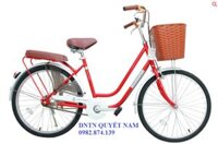 Xe đạp Thống nhất nữ LD 24-02