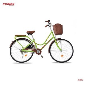 Xe đạp thường Fornix BH602