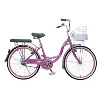 XE ĐẠP TOTEM mini SUNNY 24inch_NHA TRANG