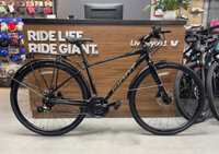 Xe đạp touring Giant ESCAPE 2 CITY D 2024***