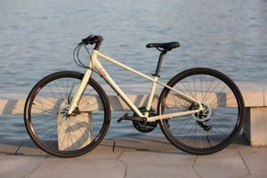 Xe Đạp Touring Liv Alight 1 2020