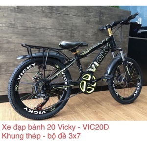 Xe đạp trẻ em 20 inch Vicky VIC20D