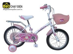 Xe đạp trẻ em Asama AMT 53