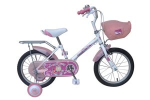 Xe đạp trẻ em Asama AMT 53
