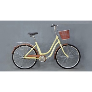 Xe đạp trẻ em Fascino FM24 Girl