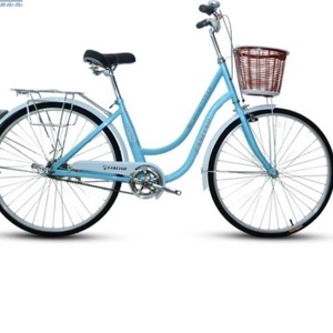 Xe đạp trẻ em Fascino FM24 Girl