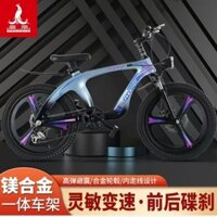 Xe Đạp Trẻ Em Hiệu Phoenix, Xe Đạp Nam Nữ Học Sinh Tiểu Học Và Trung Học Cơ Sở Từ 6-12 Đến 15 Tuổi