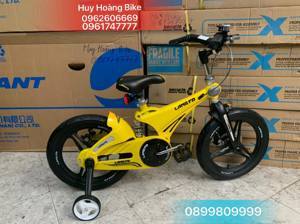 Xe đạp trẻ em LANQ FD1641