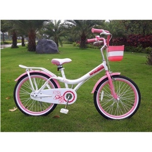 Xe đạp trẻ em Royal Baby Jenny RB20G-4
