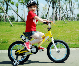 Xe đạp trẻ em Royal Baby Space no1 RB16-17