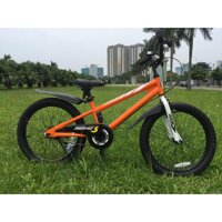 XE ĐẠP TRẺ EM ROYAL BABY FREESTYLE RB20B - CAM
