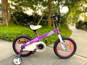 Xe đạp trẻ em Royalbaby Honey
