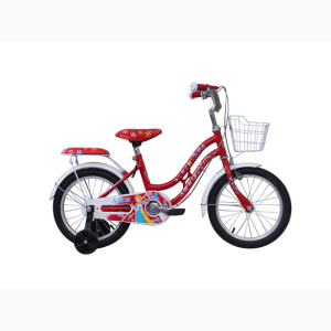Xe đạp trẻ em SMNBike TL-16-01