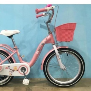 Xe đạp trẻ em thể thao Toyou