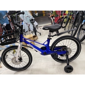 Xe đạp trẻ em thể thao Toyou