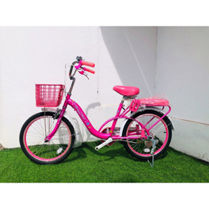 Xe đạp trẻ em Thống Nhất Neo 20-03