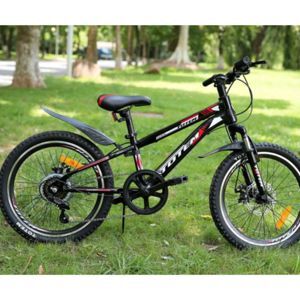 Xe đạp trẻ em Totem 719-20