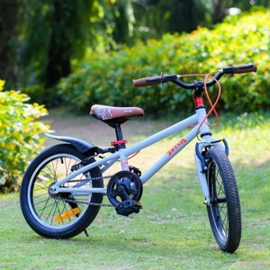 Xe đạp trẻ em TOTEM 909-16