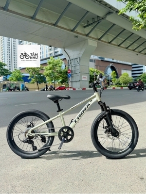 Xe đạp Trinx 20