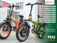Xe đạp trợ lực Điện FS12 XUÂN HÒA (thương hiệu Việt)