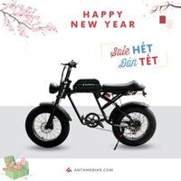Xe đạp trợ lực điện Super 73