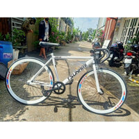 Xe Đạp TSUNAMI Single Speed - Đùm Nhôm, Sên Thường, Phối Màu Tùy Chọn mới 100%